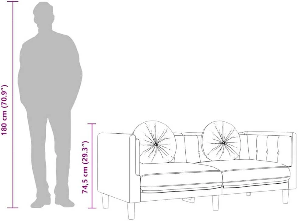 Dvivietė sofa su pagalvėlėmis, šviesiai pilkos spalvos, aksomas