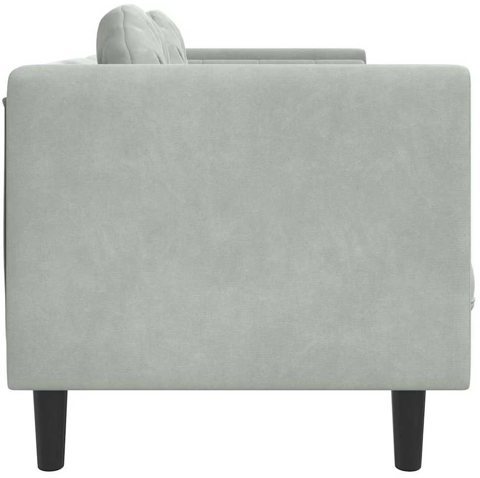 Dvivietė sofa su pagalvėlėmis, šviesiai pilkos spalvos, aksomas