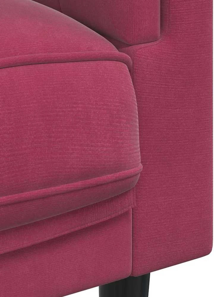 Dvivietė sofa su pagalvėlėmis, vyno raudonos spalvos, aksomas
