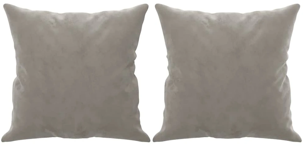 Dvivietė sofa su pagalvėmis, šviesiai pilka, 120cm, aksomas