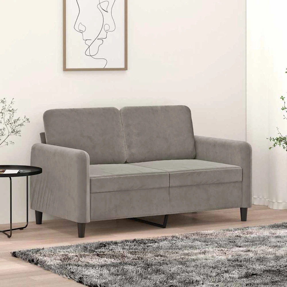 Dvivietė sofa, šviesiai pilkos spalvos, 120cm, aksomas