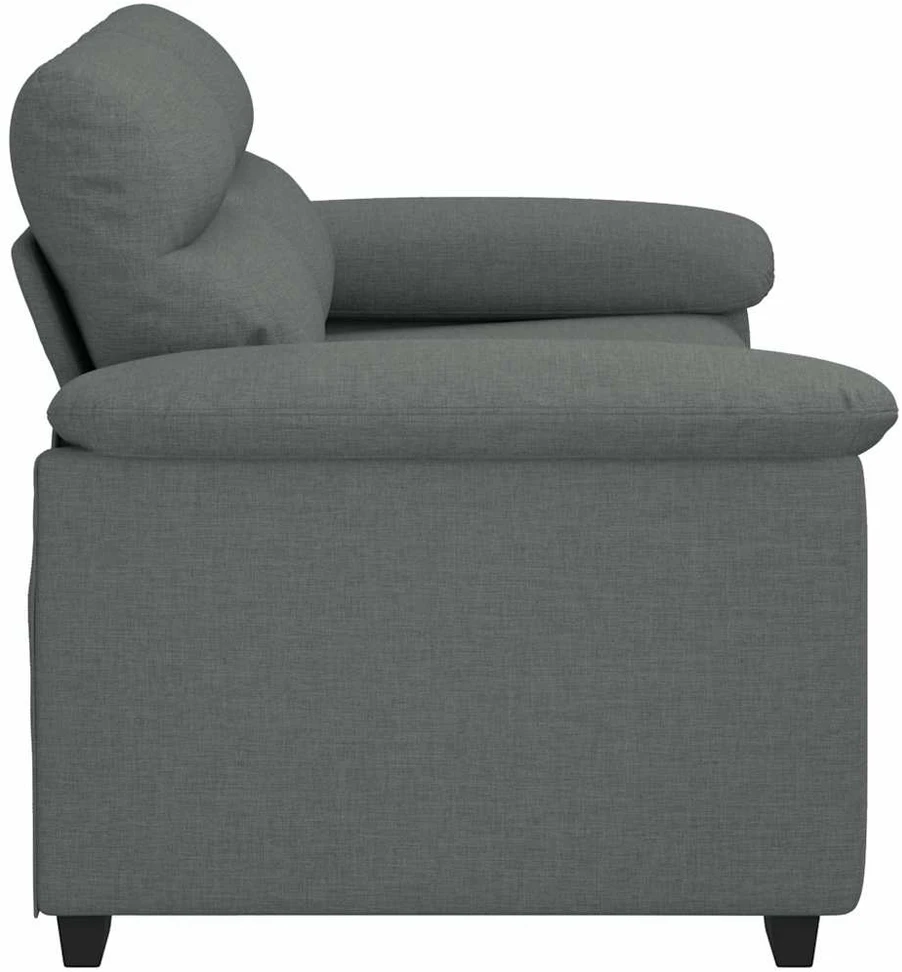 Dvivietė sofa, tamsiai pilka, 160x81x84 cm, audinys