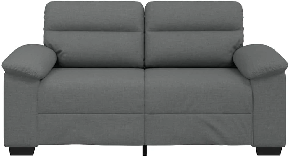 Dvivietė sofa, tamsiai pilka, 160x81x84 cm, audinys