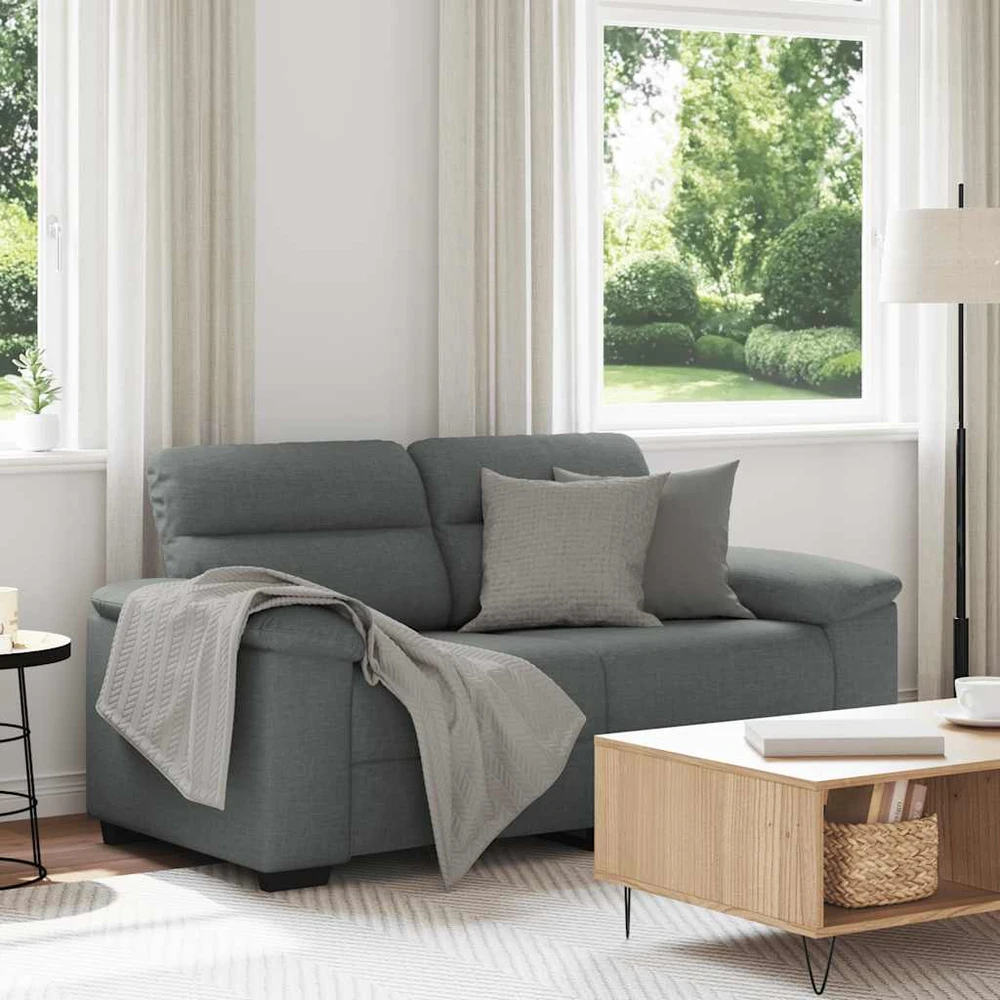 Dvivietė sofa, tamsiai pilka, 160x81x84 cm, audinys