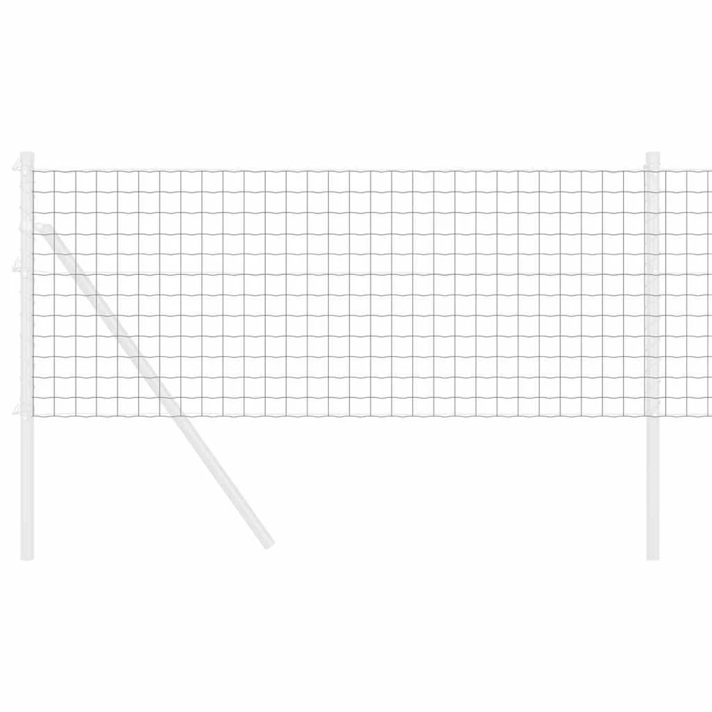 Euro tvora 0,6 x 50 m PVC padengta geležis Pilka