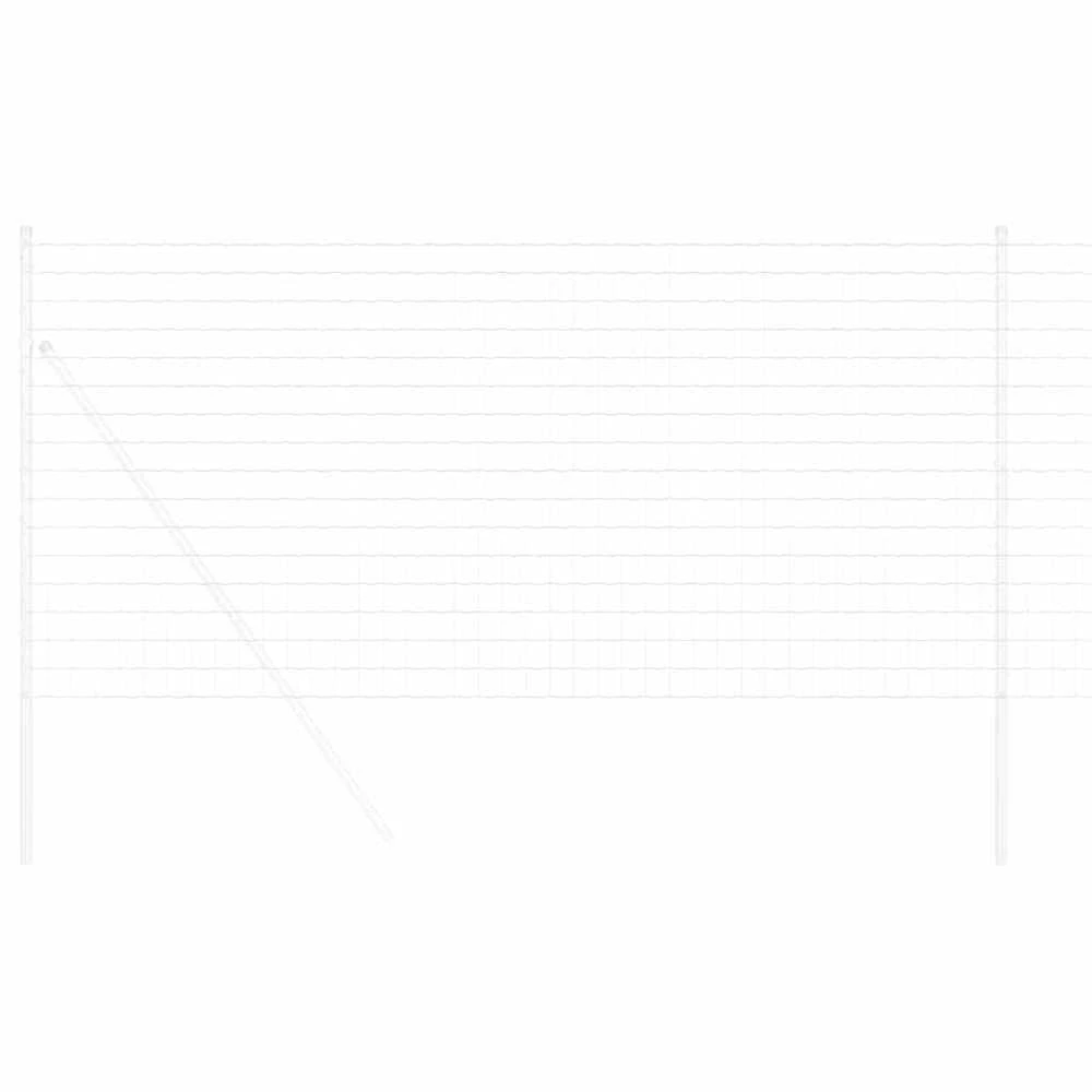 Euro tvora 1,2 x 25 m PVC padengta geležis
