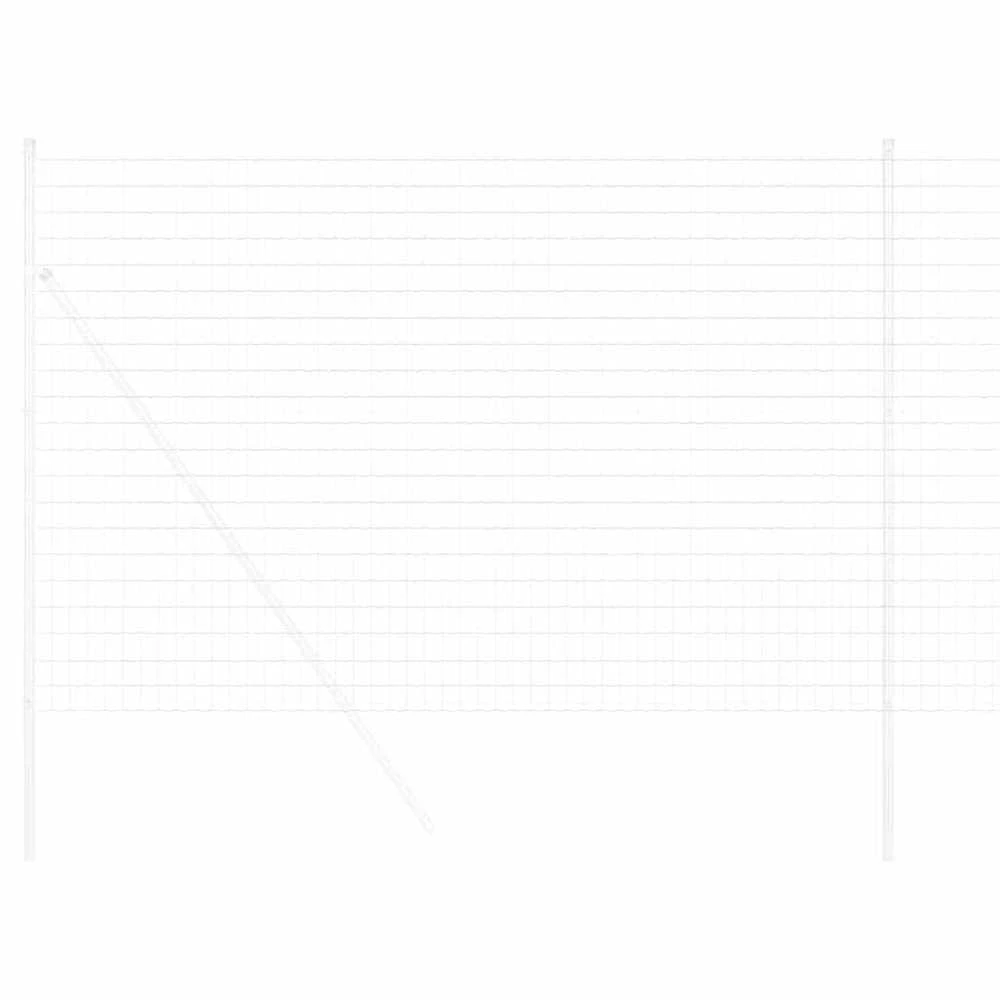 Euro tvora 1,6 x 10 m PVC padengta geležis