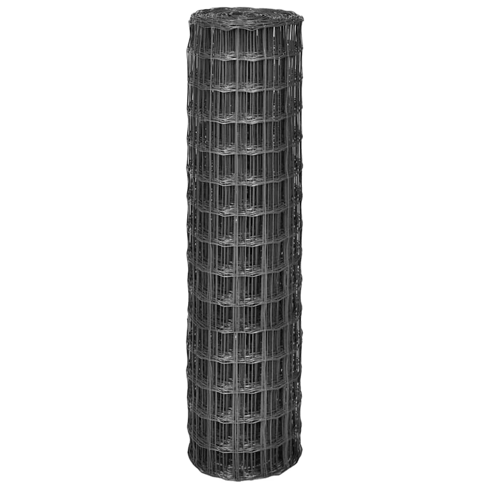 Geležinės tvoros PVC padengta geležis Pilka