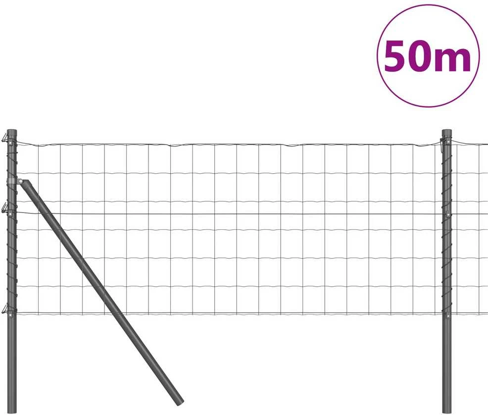 Euro tvoros žemės tvirtinimas 50 x 0,4 m PVC dengtas plienas