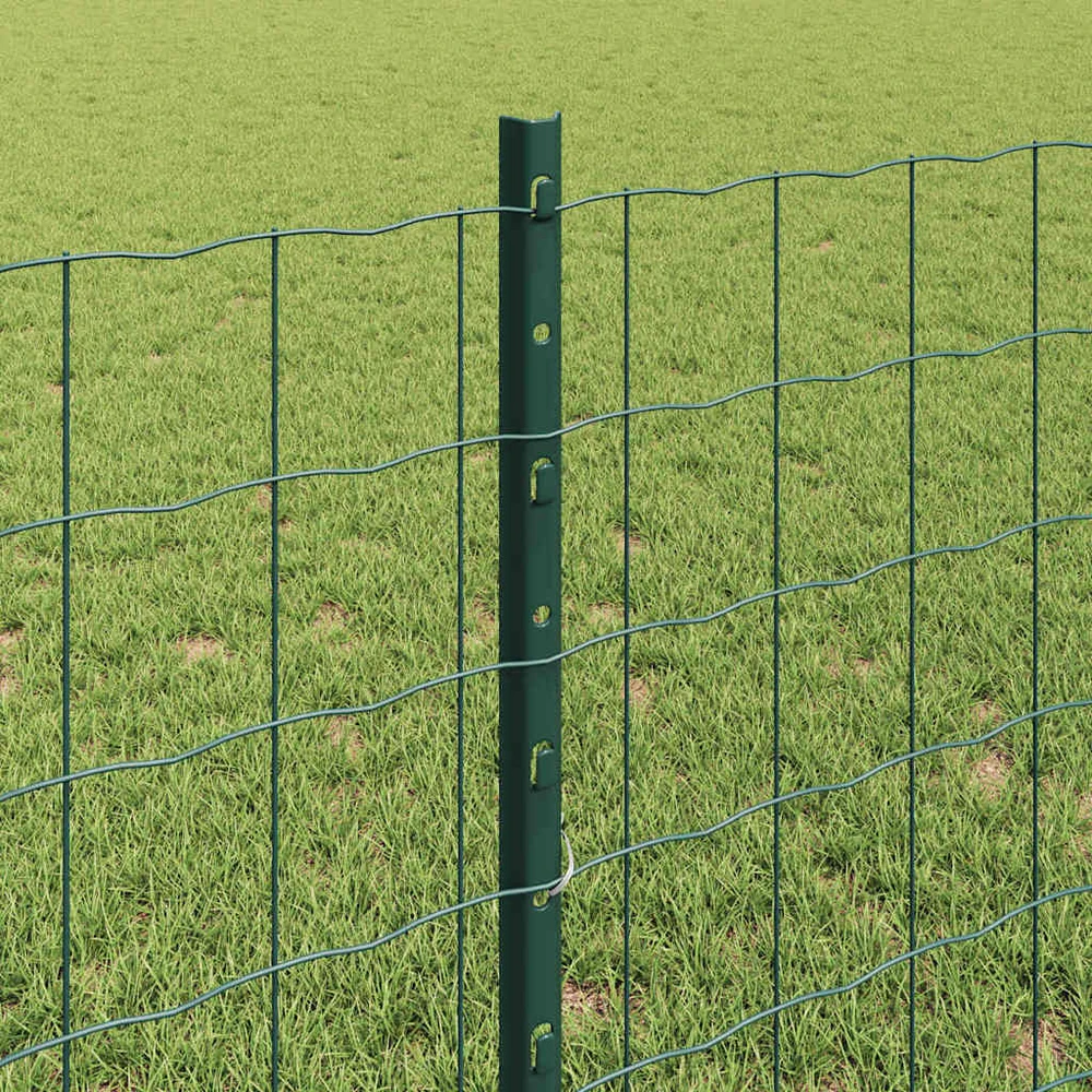 Euro tvoros su stulpu 10 x 0,8 m PVC dengtas plienas Žalia