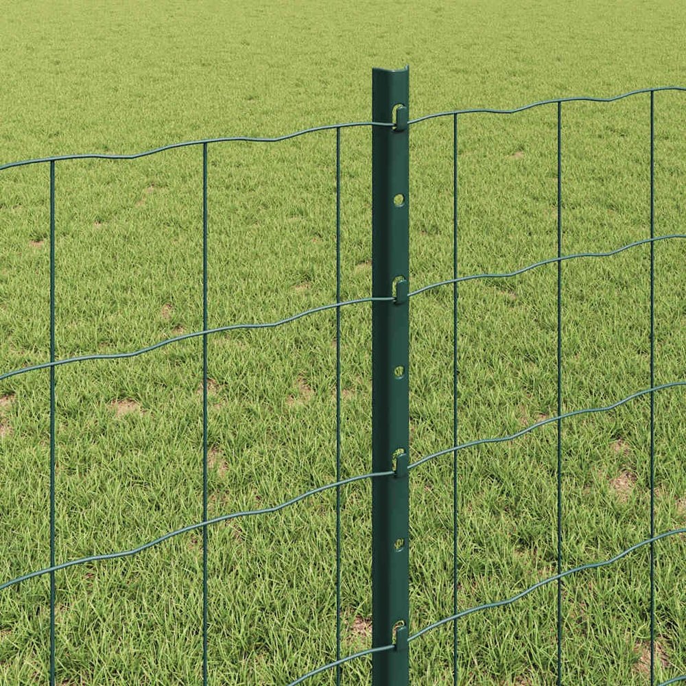 Euro tvoros su stulpu 10 x 0,8 m PVC dengtas plienas Žalia