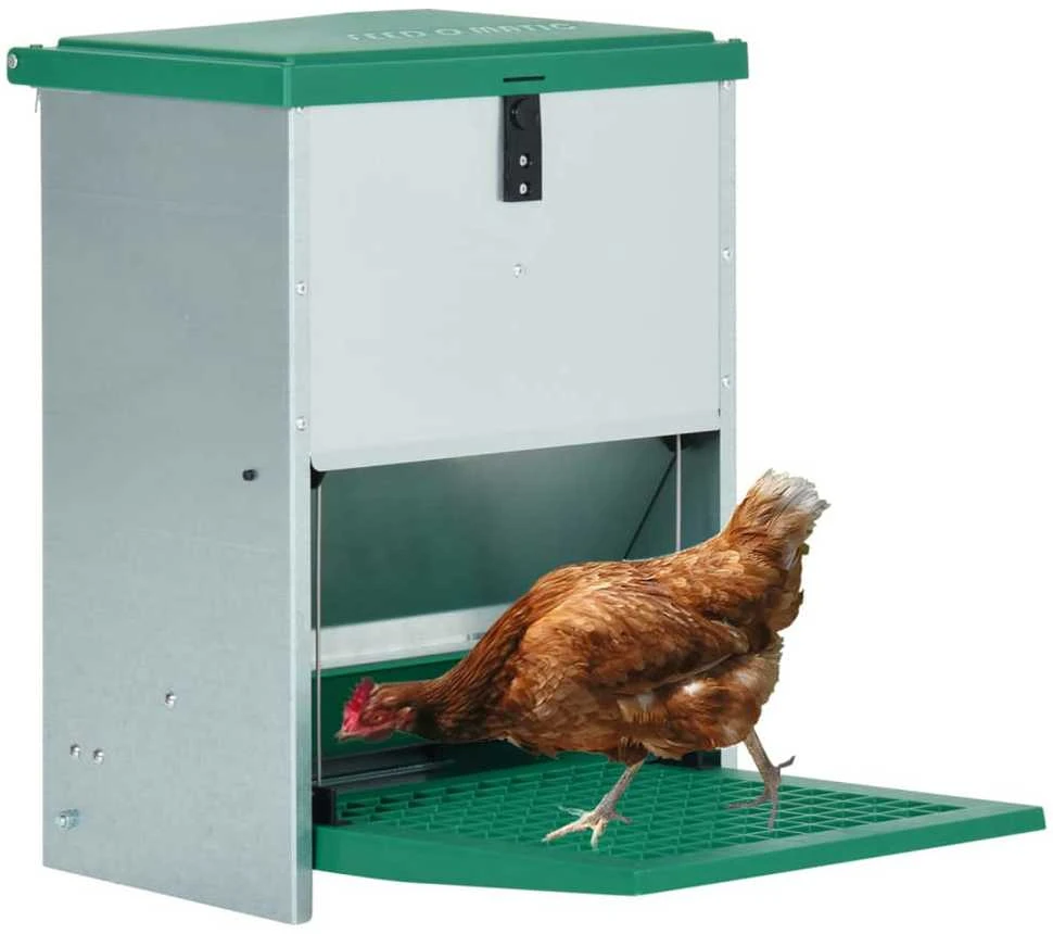 Feedomatic Automatinė naminių paukščių šerykla su pamina, 12kg