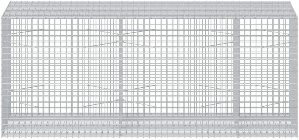 Gabionas su 3,5 mm laidu ir 5x5 cm tinkleliu 250x100x100 cm