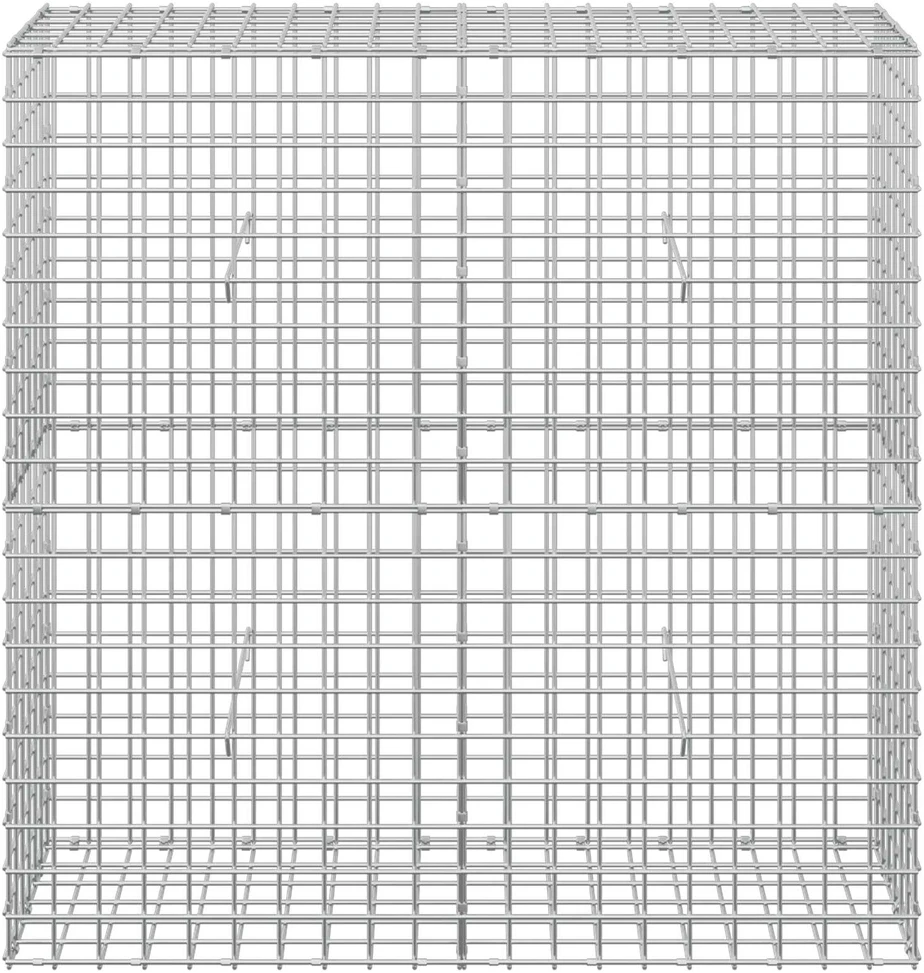 Gabionas su 3,5 mm laidu ir 5x5 cm tinkleliu 100x30x100 cm