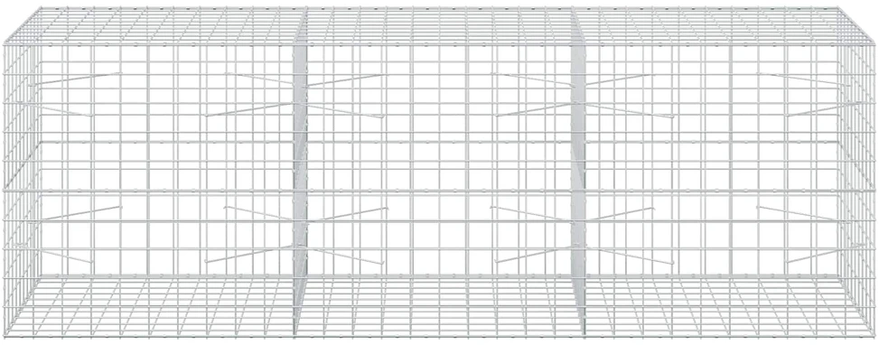 Gabionas su 3,5 mm viela ir 10x10 cm tinkleliu 300x100x100 cm