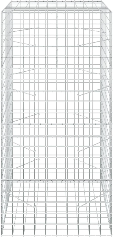 Gabionas su 3,5 mm viela ir 10x10 cm tinkleliu 100x100x200 cm