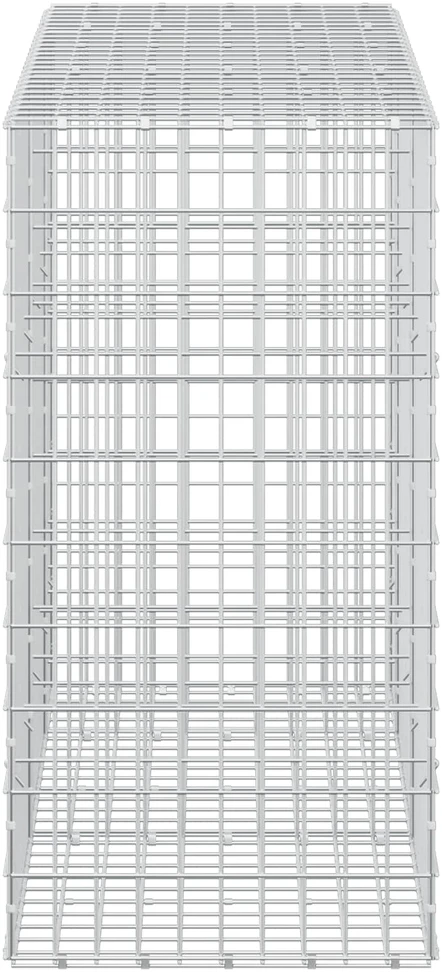 Gabionas su 3,5 mm viela ir 5x10 cm tinkleliu 250x50x100 cm