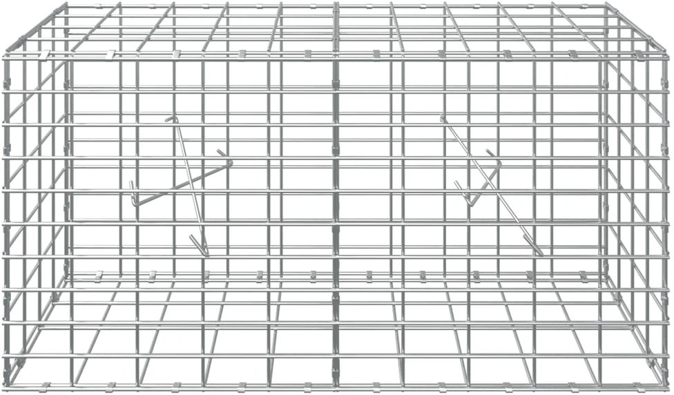 Gabionas su 3,5 mm viela ir 5x10 cm tinkleliu 100x20x50 cm