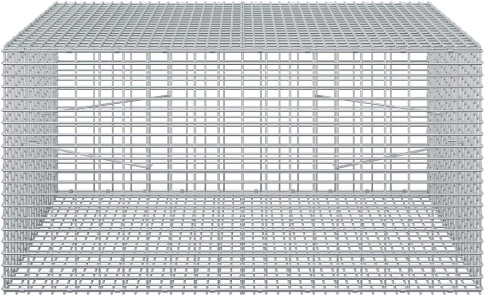Gabionas su 3,5 mm viela ir 5x2,5 cm tinkleliu 100x100x50 cm