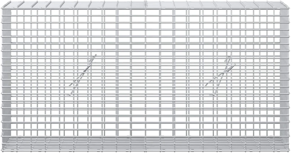 Gabionas su 3,5 mm viela ir 5x2,5 cm tinkleliu 100x20x50 cm