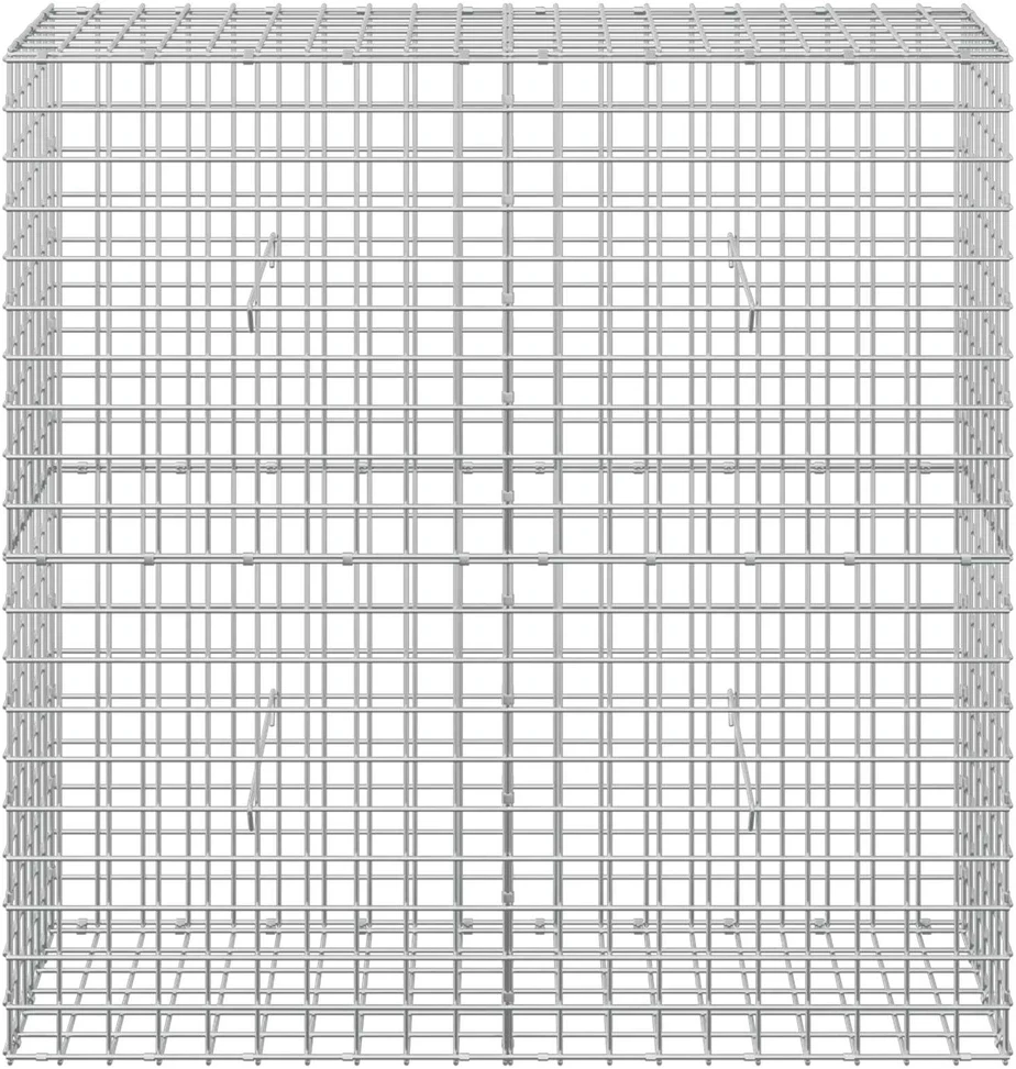 Gabionas su 5 mm viela ir 5x5 cm tinkleliu 100x30x100 cm