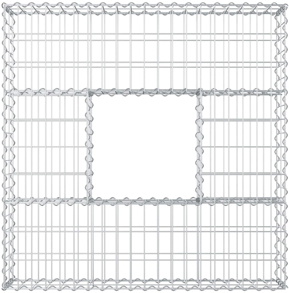 Gabioninė pakelta lova 100 x 100 x 20 cm Cinkuota plienas