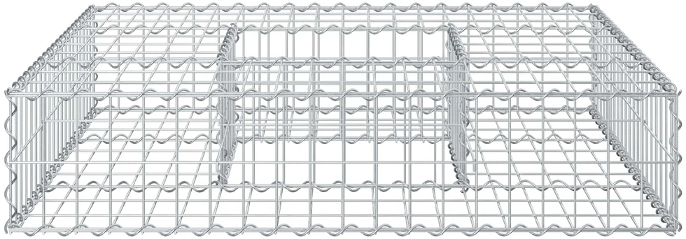 Gabioninė pakelta lova 100 x 100 x 20 cm Cinkuota plienas