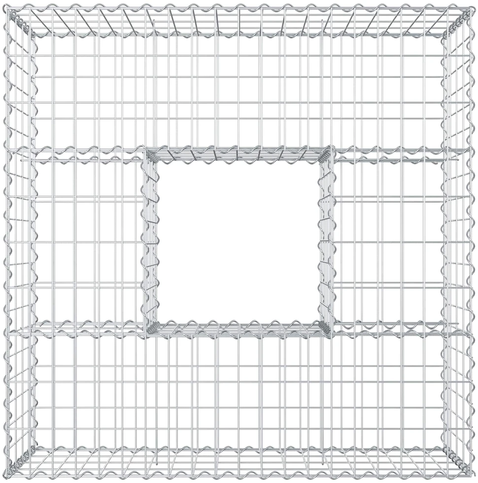 Gabioninė pakelta lova 100 x 100 x 40 cm Cinkuota plienas