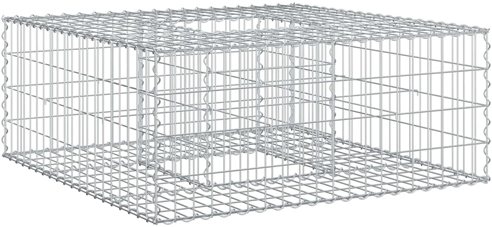 Gabioninė pakelta lova 100 x 100 x 40 cm Cinkuota plienas