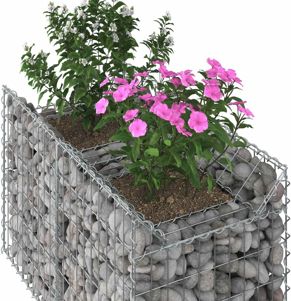Gabioninė pakelta lova 100 x 50 x 60 cm Galvanizuotas plienas