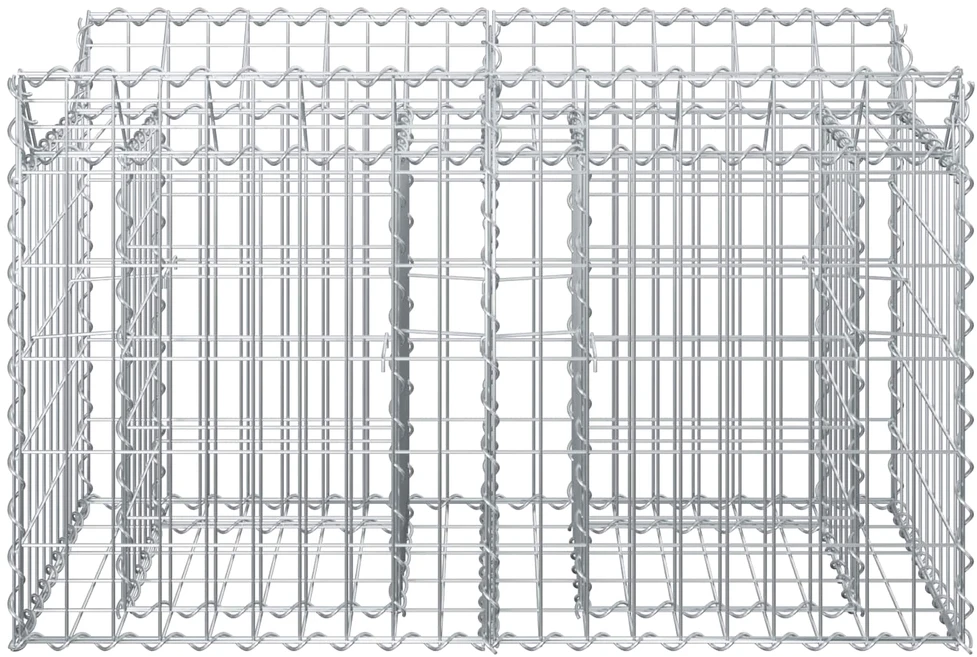 Gabioninė pakelta lova 100 x 50 x 60 cm Galvanizuotas plienas
