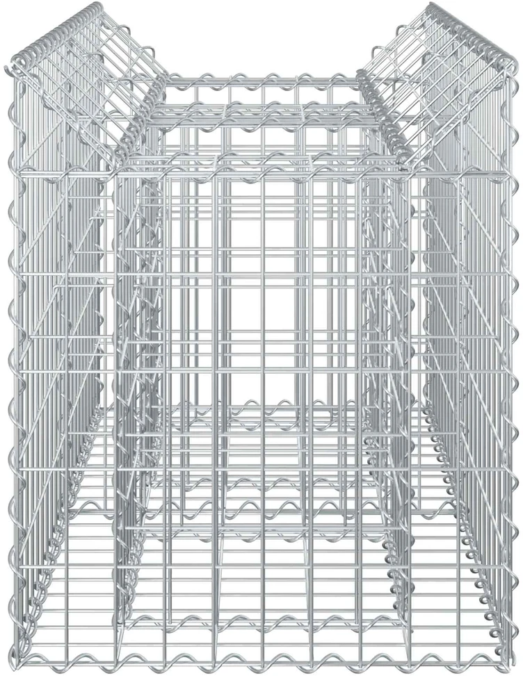 Gabioninė pakelta lova 100 x 50 x 60 cm Galvanizuotas plienas