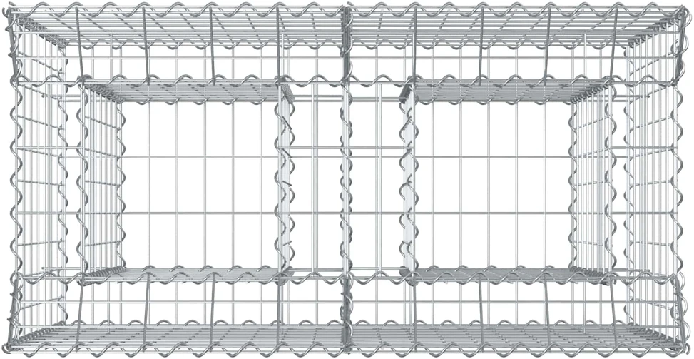 Gabioninė pakelta lova 100 x 50 x 80 cm Galvanizuotas plienas