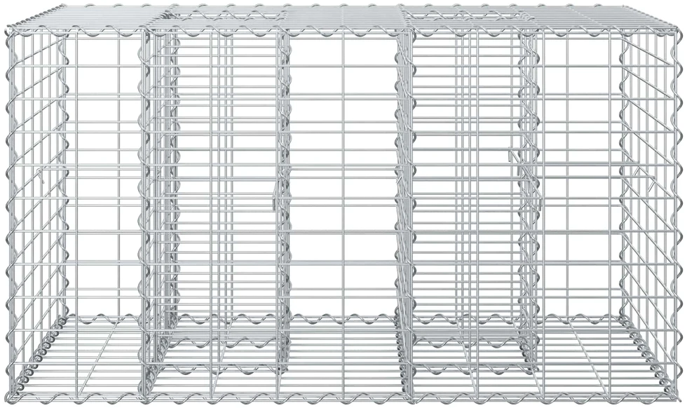 Gabioninė pakelta lova 100 x 60 x 55 cm Galvanizuotas plienas