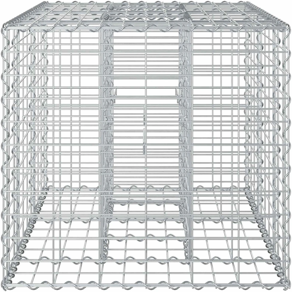 Gabioninė pakelta lova 100 x 60 x 55 cm Galvanizuotas plienas