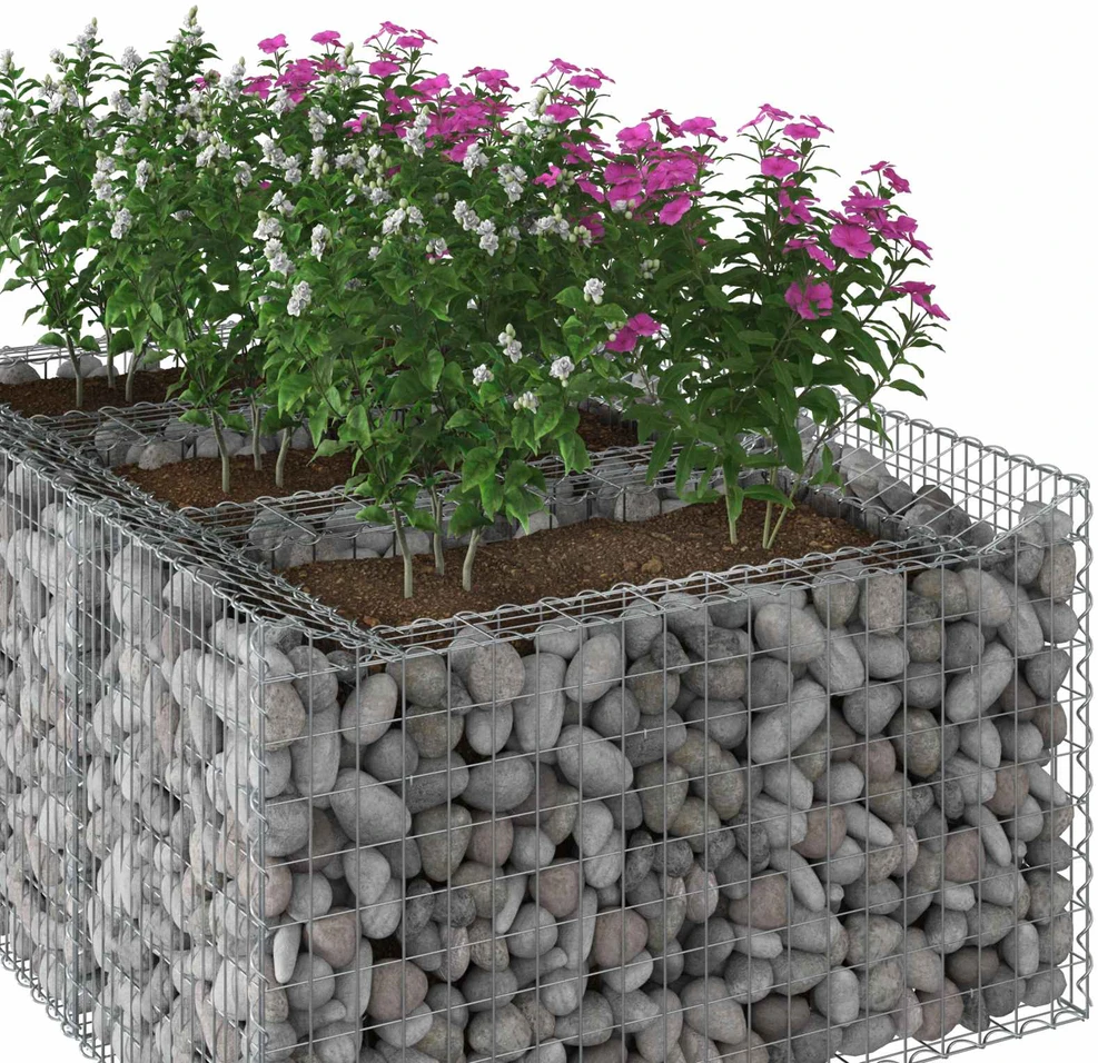 Gabioninė pakelta lova 150 x 100 x 60 cm Galvanizuotas plienas