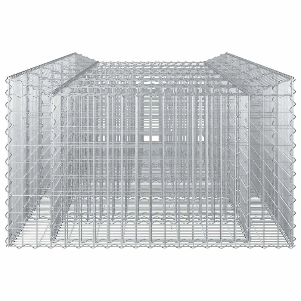 Gabioninė pakelta lova 2 vnt. 300 x 100 x 60 cm Sidabrinė