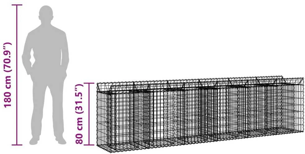 Gabioninė pakelta lova 2 vnt. 300 x 50 x 80 cm Sidabrinė