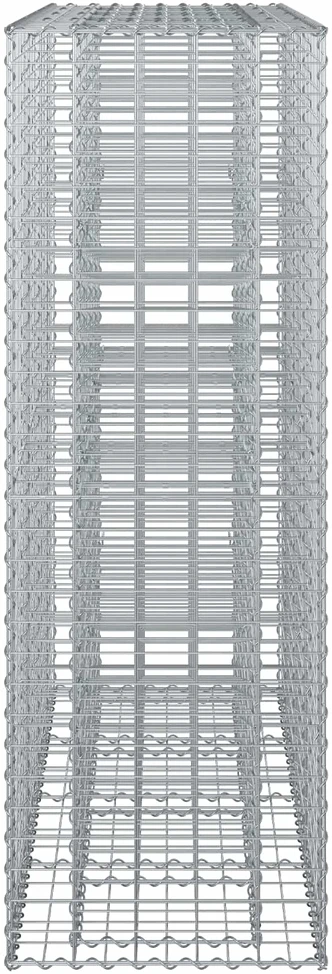 Gabioninė pakelta lova 2 vnt. 170 x 50 x 150 cm