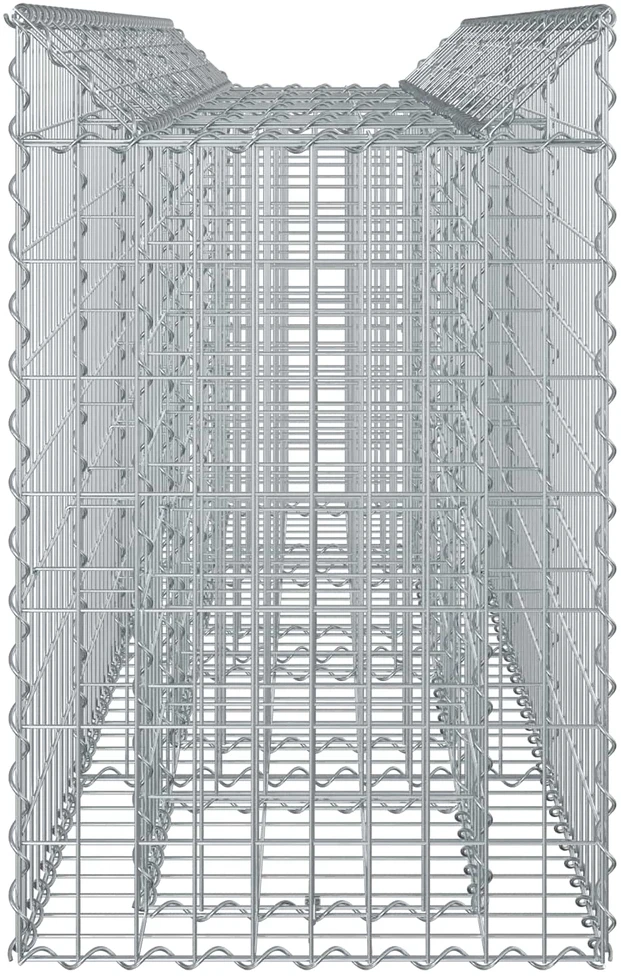 Gabioninė pakelta lova 2 vnt. 200 x 50 x 80 cm Sidabrinė