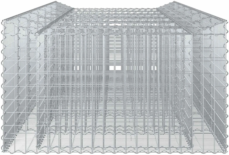 Gabioninė pakelta lova 2 vnt. 300 x 100 x 60 cm Sidabrinė