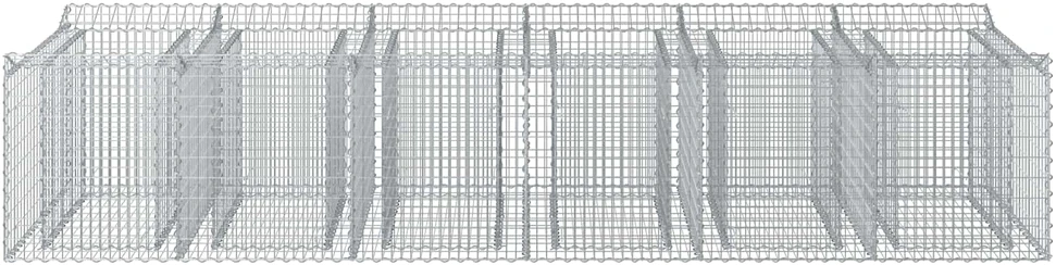 Gabioninė pakelta lova 2 vnt. 300 x 100 x 60 cm Sidabrinė