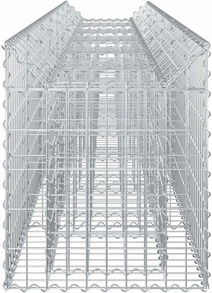 Gabioninė pakelta lova 2 vnt. 300 x 50 x 60 cm