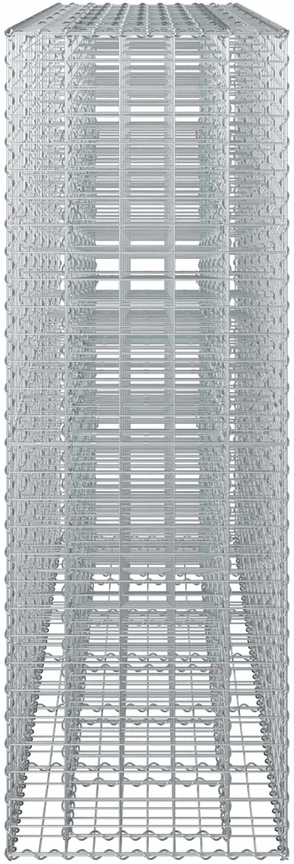 Gabioninė pakelta lova 3 vnt. 250 x 50 x 150 cm
