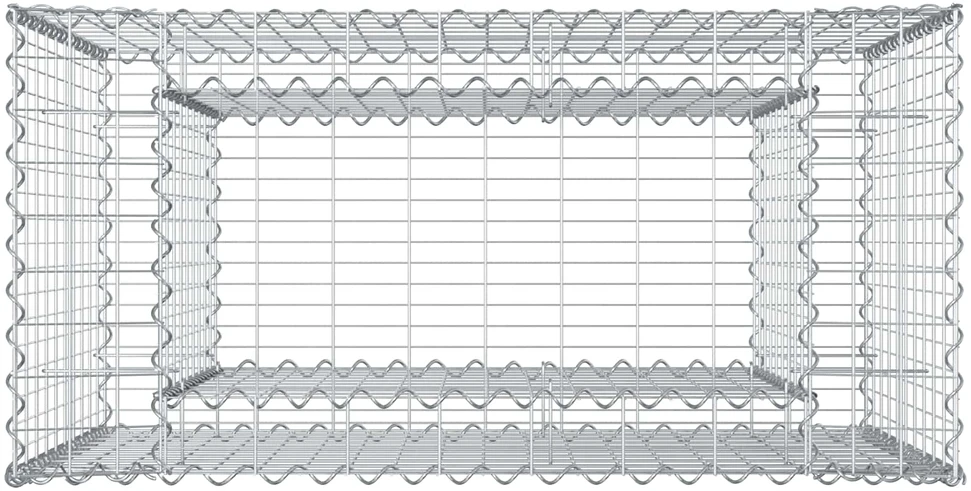 Gabioninė pakelta lova 50 x 100 x 100 cm Galvanizuotas plienas