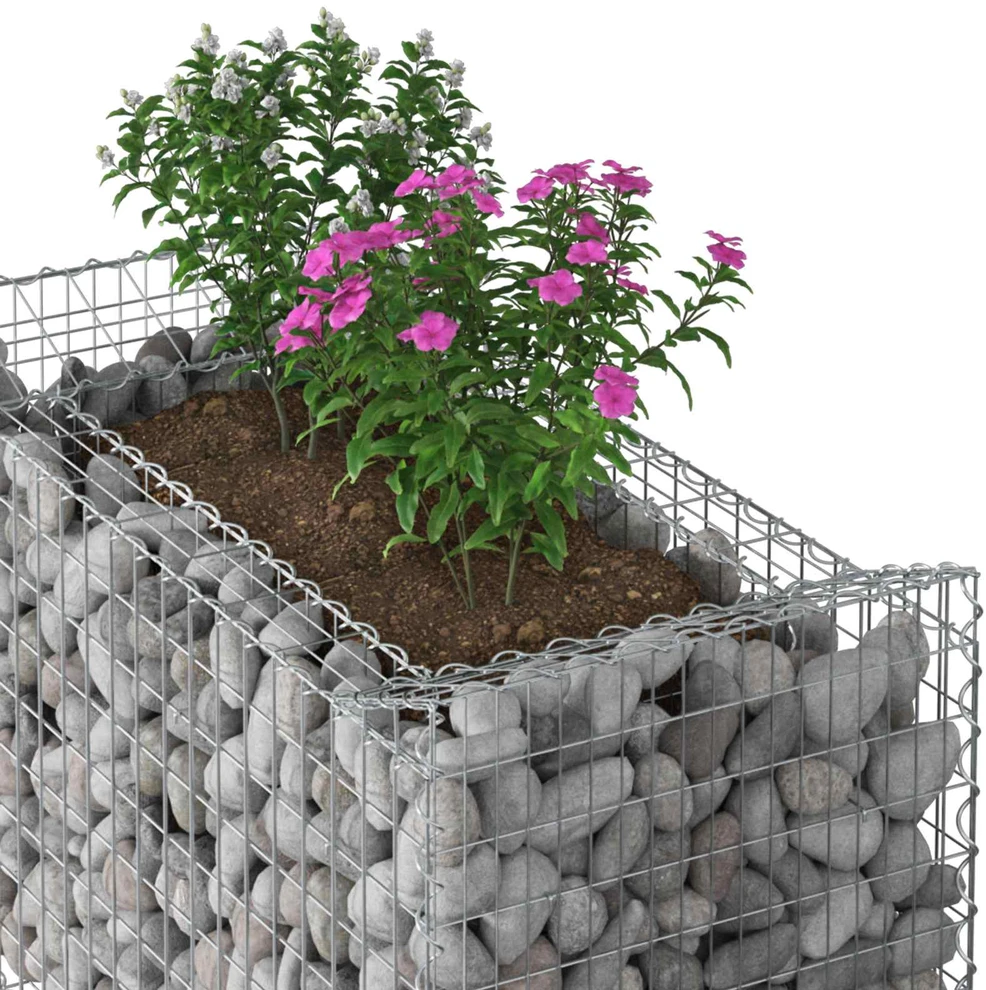 Gabioninė pakelta lova 50 x 100 x 100 cm Galvanizuotas plienas