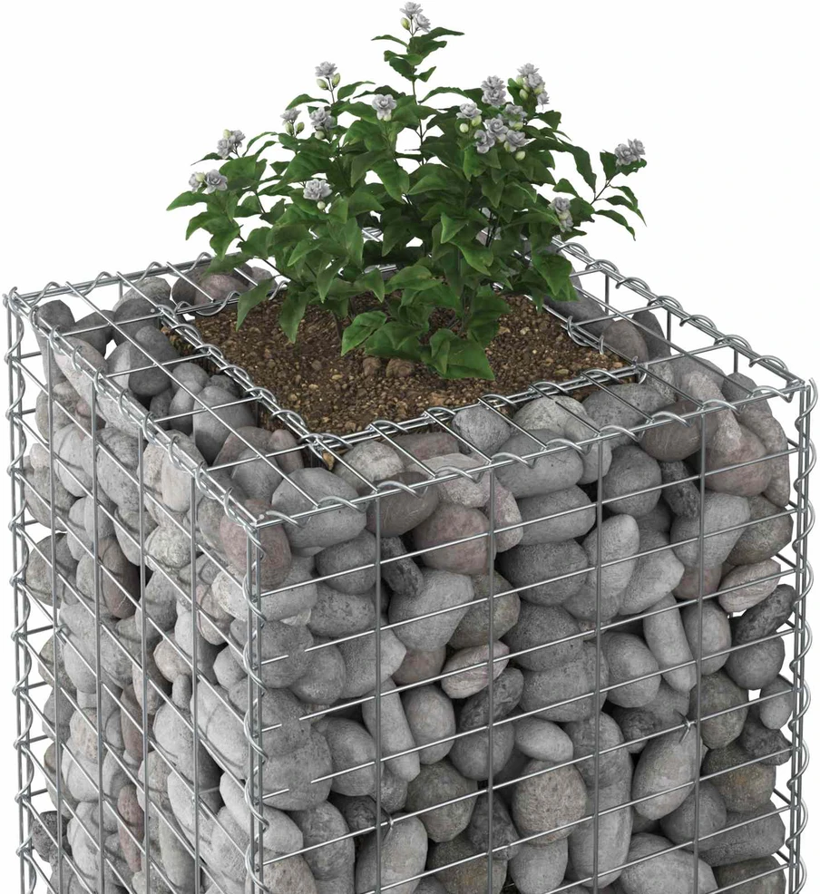 Gabioninė pakelta lova 50 x 50 x 80 cm Galvanizuotas plienas