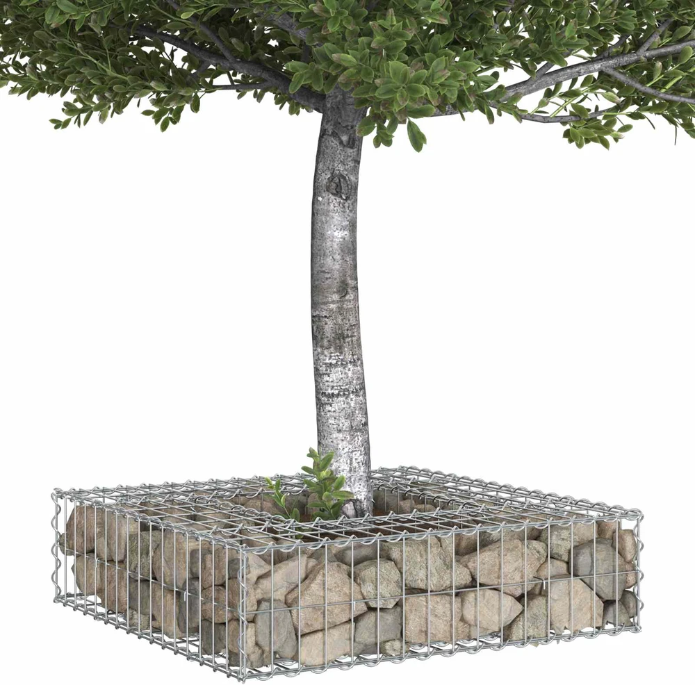 Gabioninė pakelta lova 80 x 80 x 20 cm Cinkuota plienas Sidabro