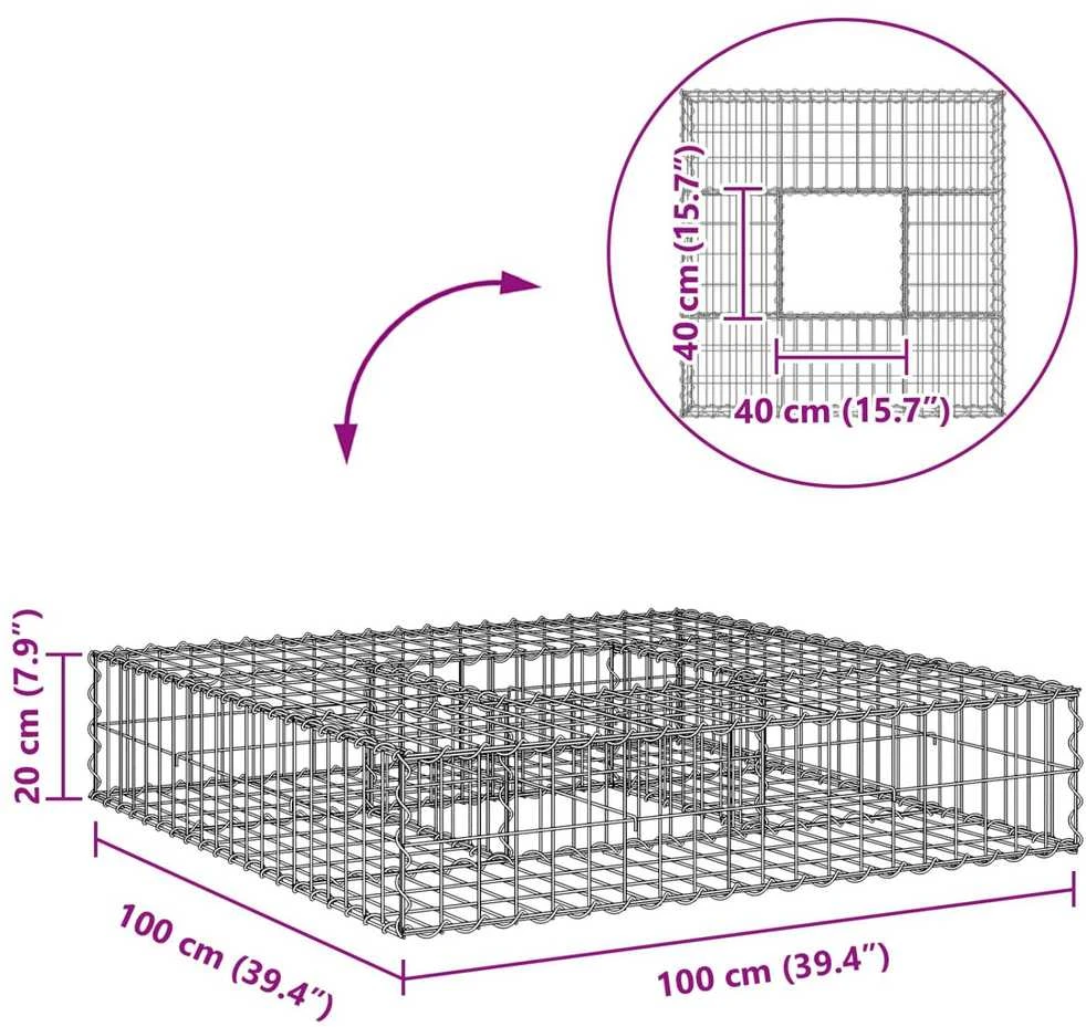 Gabioninė pakelta lova 100 x 100 x 20 cm Cinkuota plienas