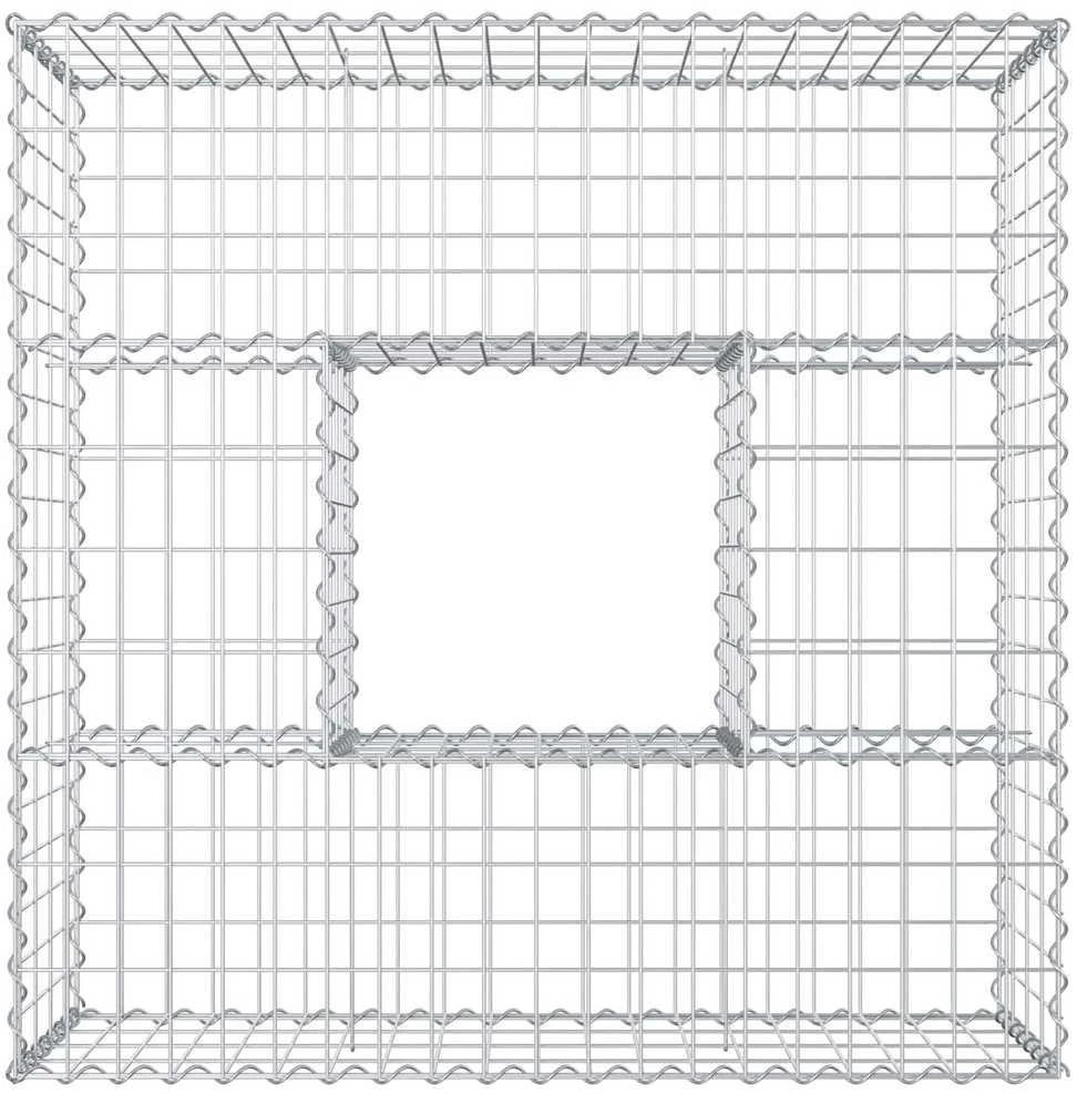 Gabioninė pakelta lova 100 x 100 x 40 cm Cinkuota plienas